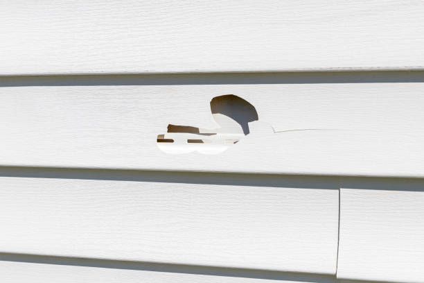 Best Hoarding Cleanup  in Marcus Hook, PA